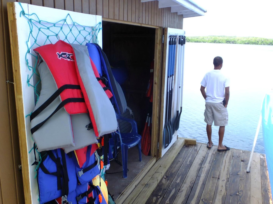 Edwin's Turtle Lake Marine Reserve-伊柳塞拉必去景点