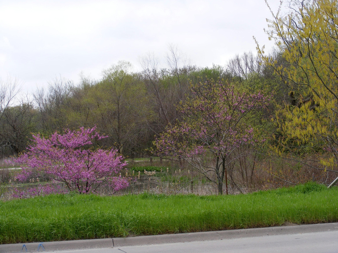 Connemara Conservancy-普莱诺必去景点