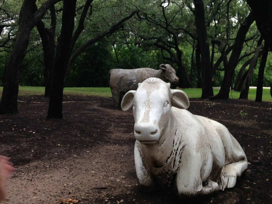 The Arboretum-奥斯丁必去景点