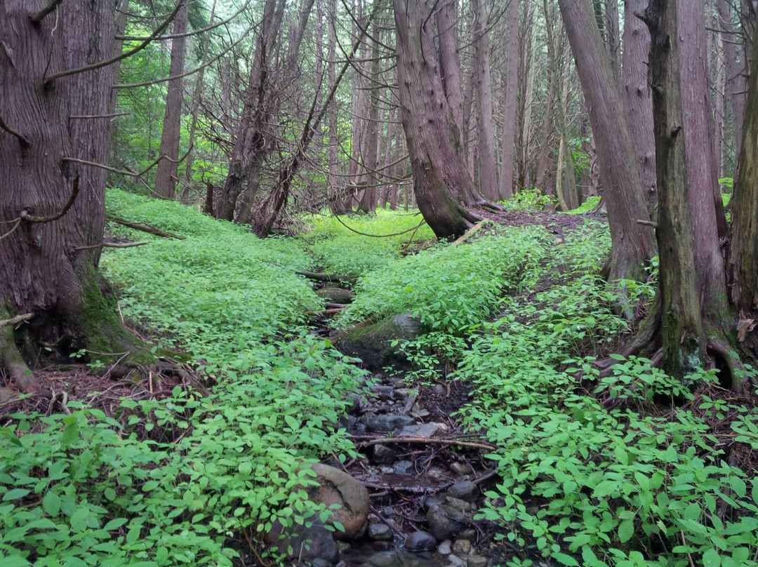 Millbrook Valley Trails-Millbrook必去景点