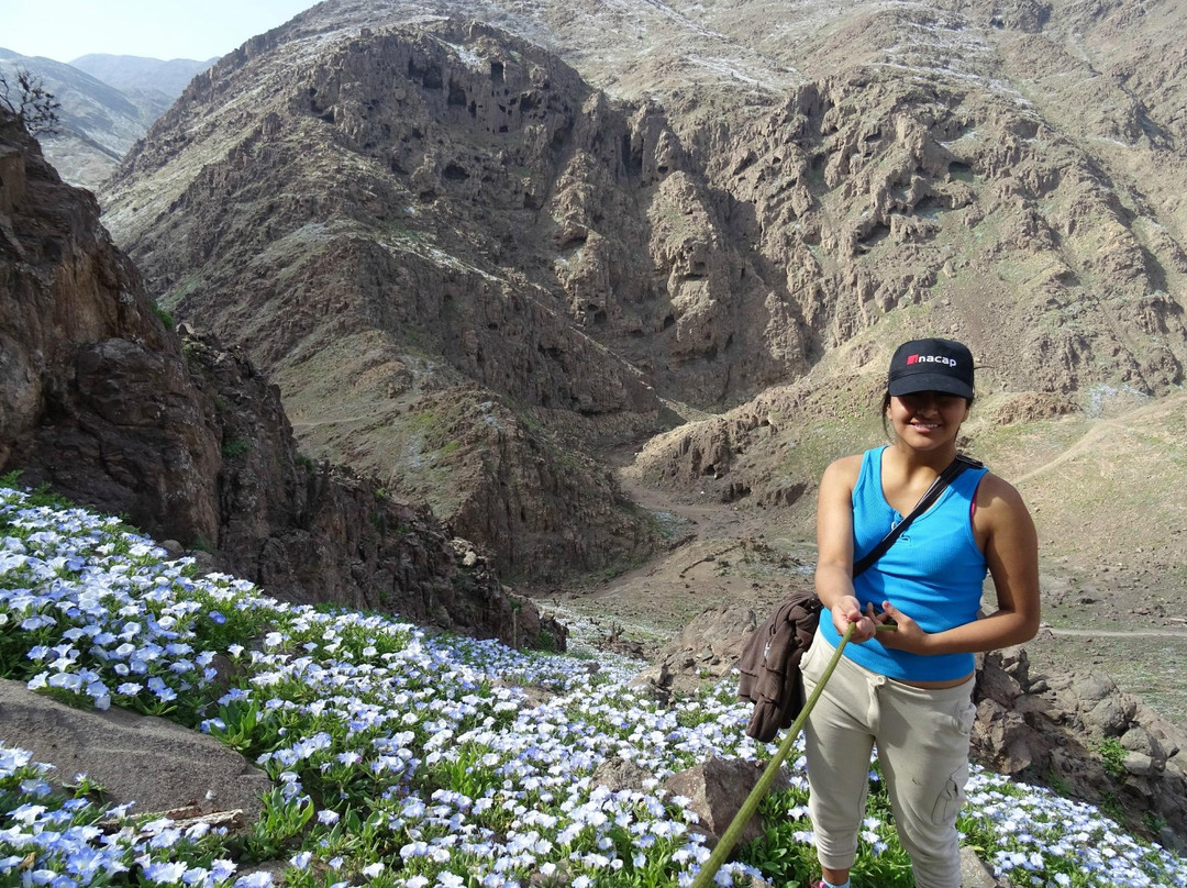 Quebrada de la Chimba Reserva Nacional-安托法加斯塔必去景点