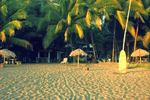 Pelican Beachfront Hotel