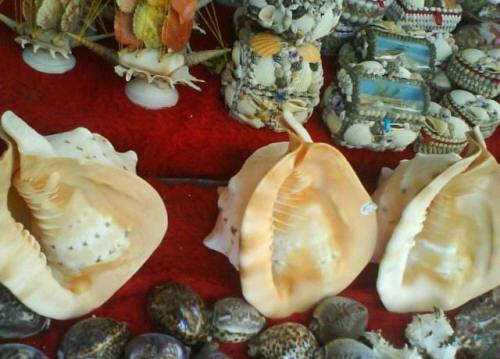 Arwad Island-塔尔图斯必去景点