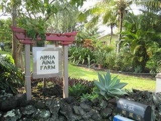 Joe's Nuts-库克船长必去景点