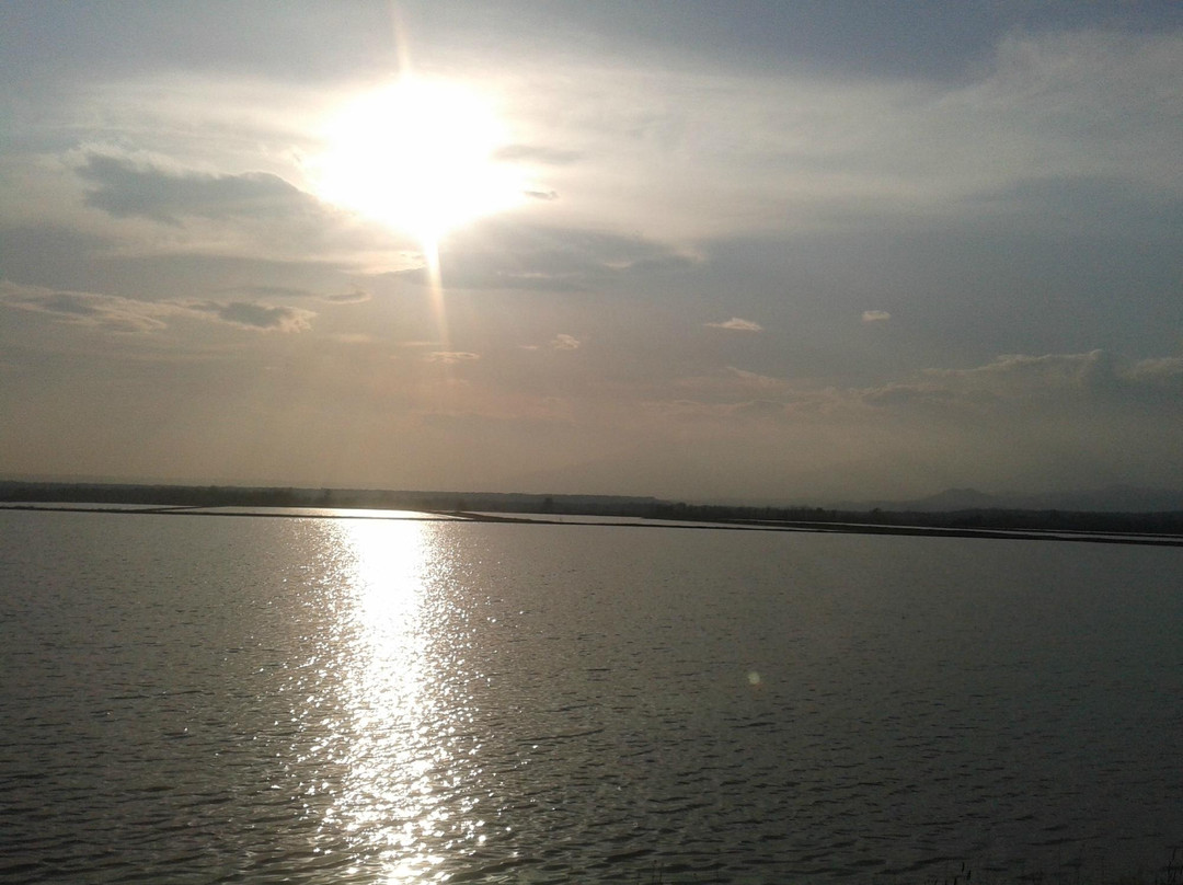 Rice Paddies Po River-韦尔切利必去景点