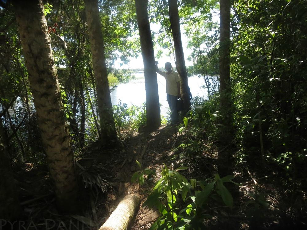 Caloosahatchee Regional Park-Alva必去景点