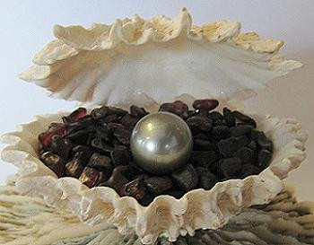 Die Muschel-斯瓦科普蒙德必去景点