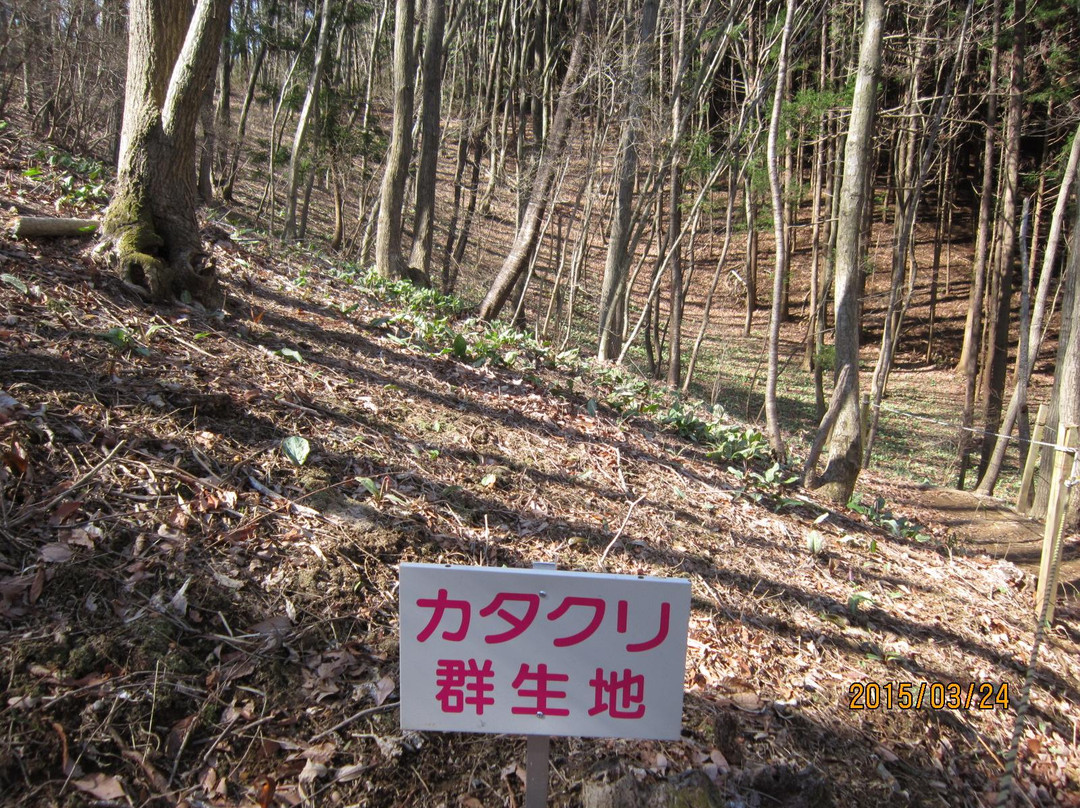 Katakuri Mountain Park-那珂川町必去景点