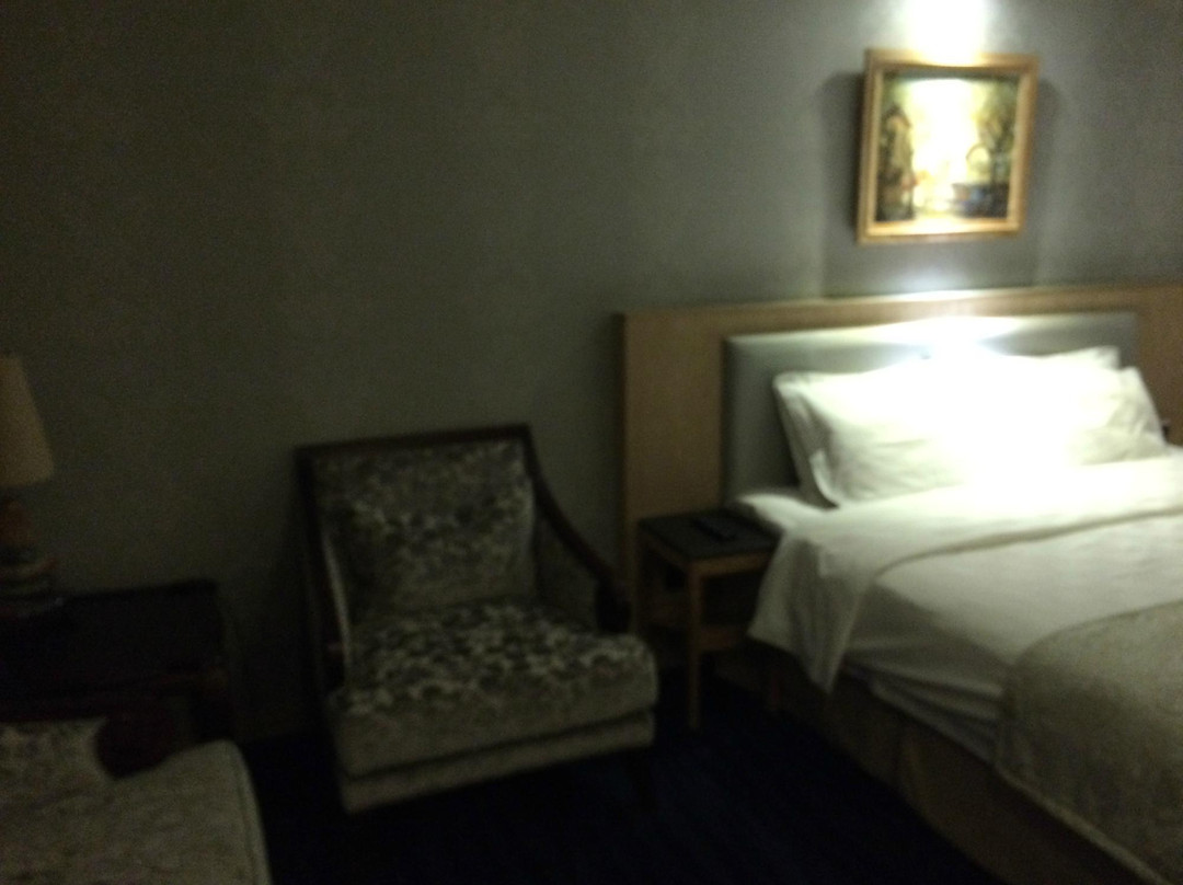 达克斯娜酒店主图