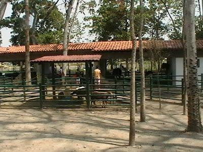 Parque Tematico Bosque Macuto景点图片
