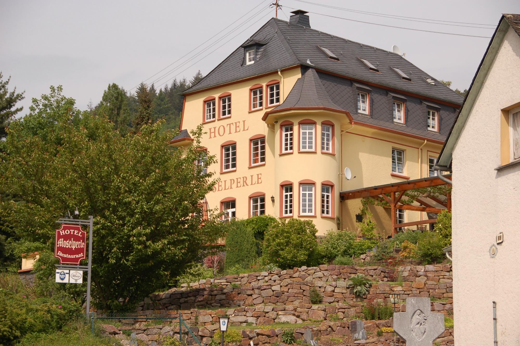 Hotel Moselperle-客卧