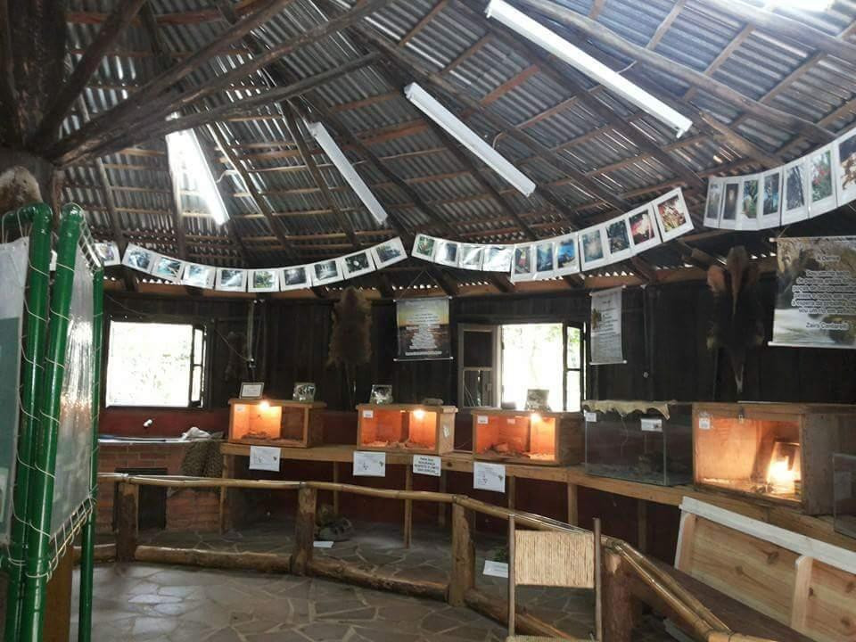 Jardim Botânico e Zoológico Municipal Cachoeira do Sul景点图片