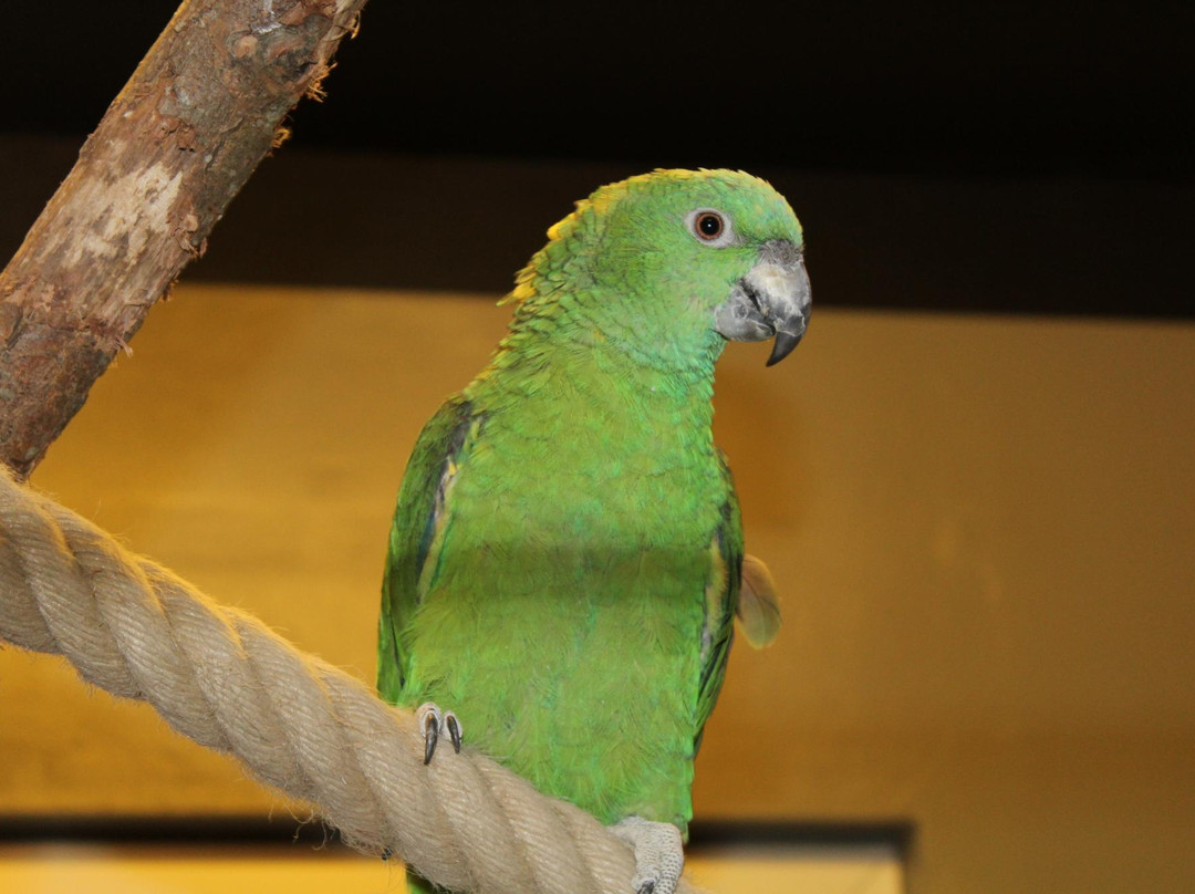 Kungsbyn Animalpark-韦斯特罗斯必去景点