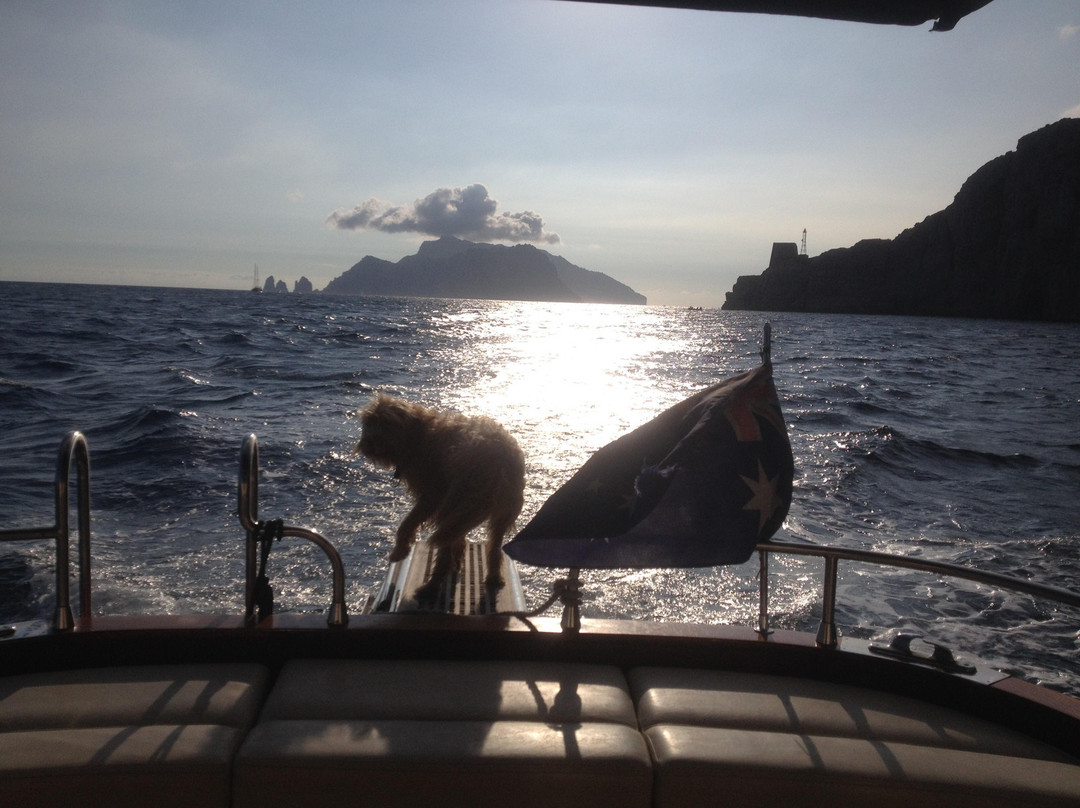 Sorrento Coast Charter-马萨卢布伦塞必去景点