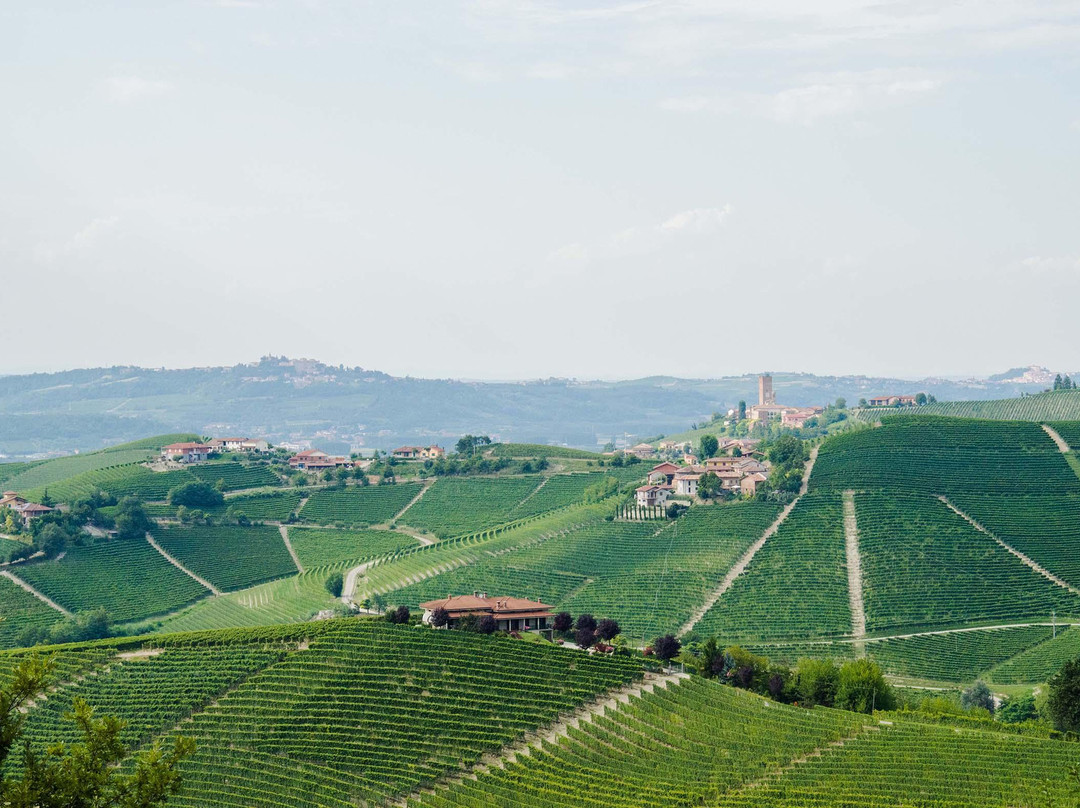 Cascina Bruciata景点图片