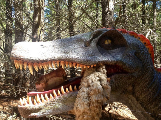 高地赛车公园-克伦威尔镇必去景点