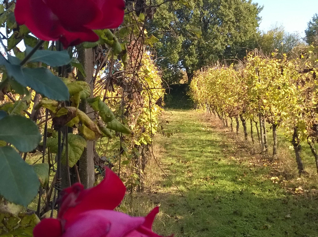 Fattoria Paradiso