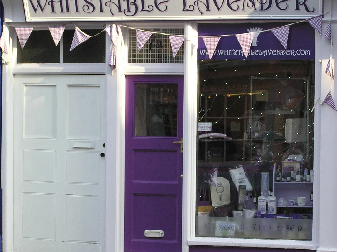 Whitstable Lavender景点图片