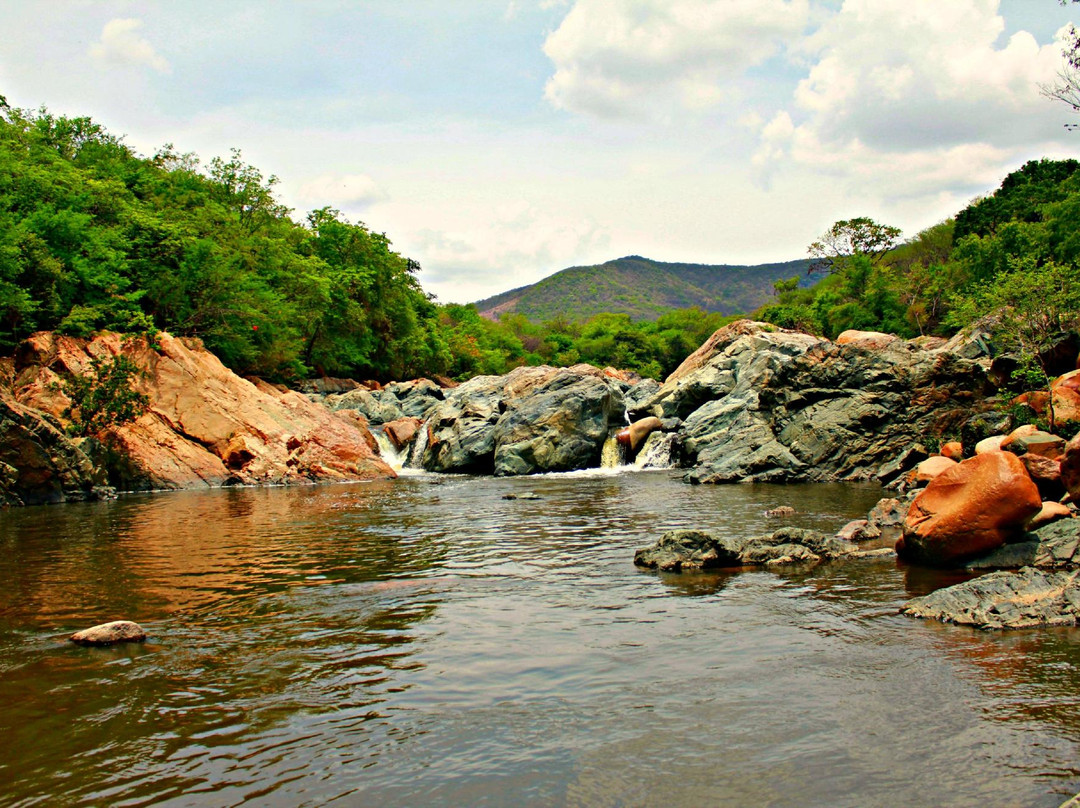 Paseo Vallenato Tour - Day Tours-巴耶杜帕尔必去景点