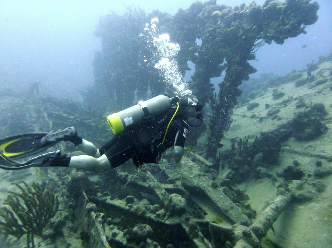 Rhone National Marine Park景点图片