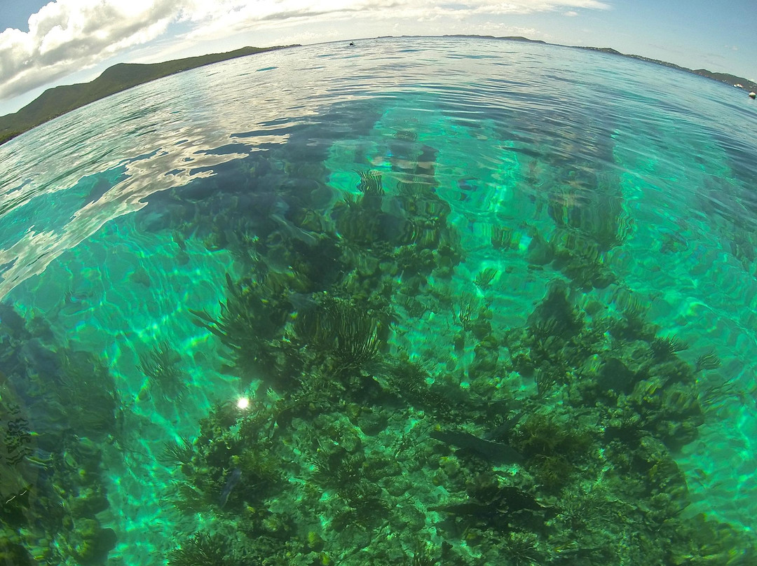 Wasabi Sailing-夏洛特阿马利亚必去景点