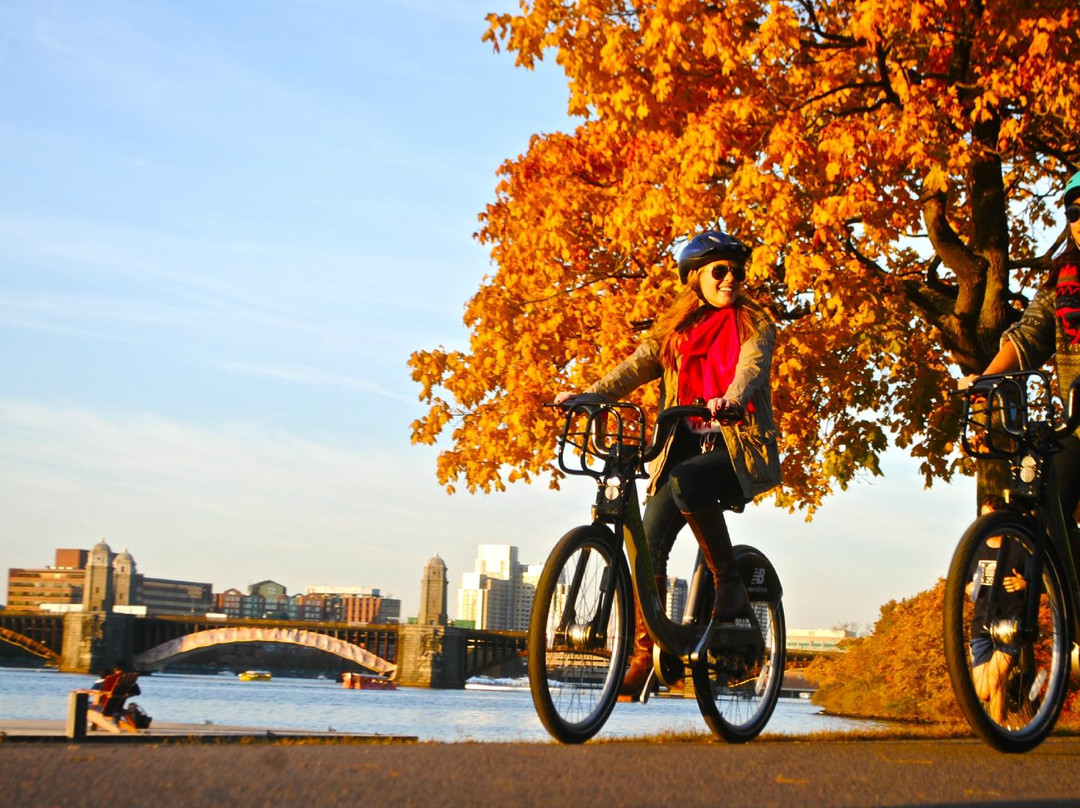 Hubway Bike Rental-波士顿必去景点