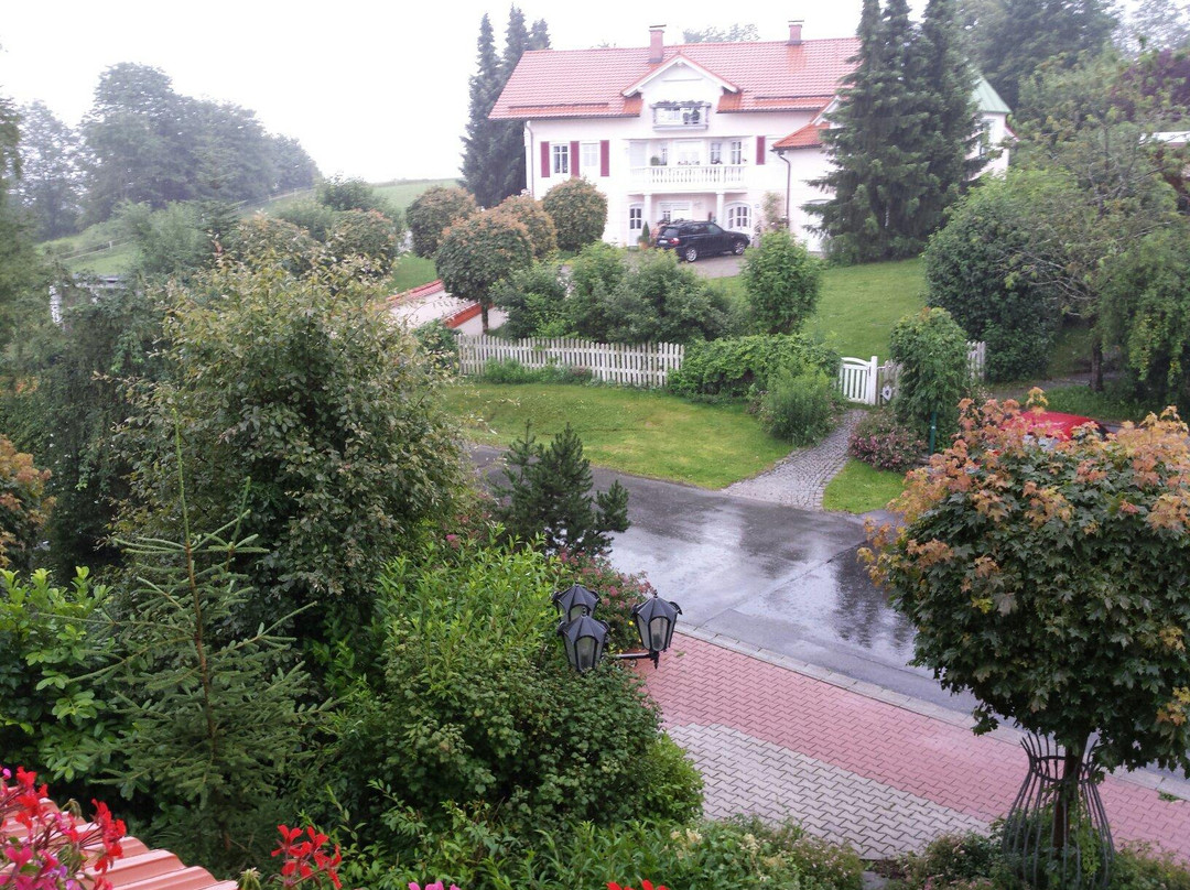 Waldblick