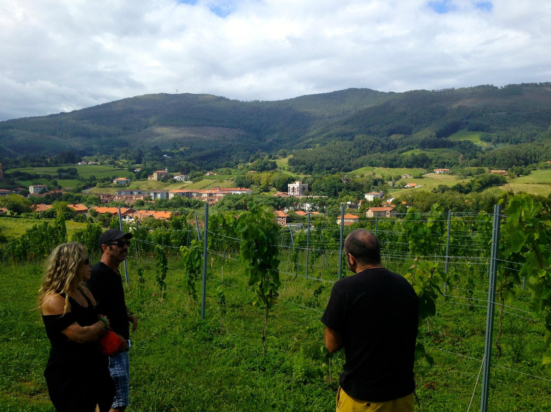 Doniene Gorrondona Txakolina-巴基奥必去景点