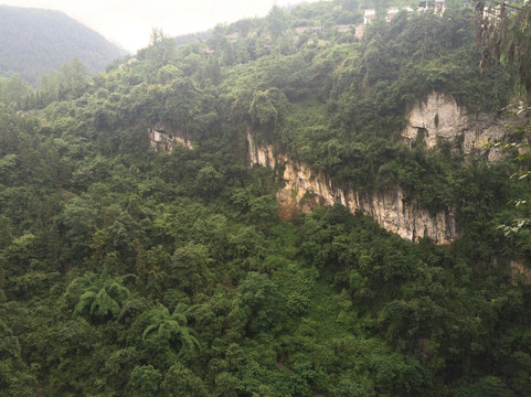 铁山坪森林公园-重庆市必去景点