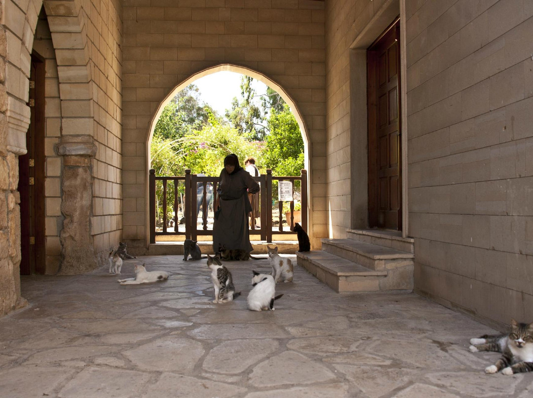 St. Nicholas of the Cats