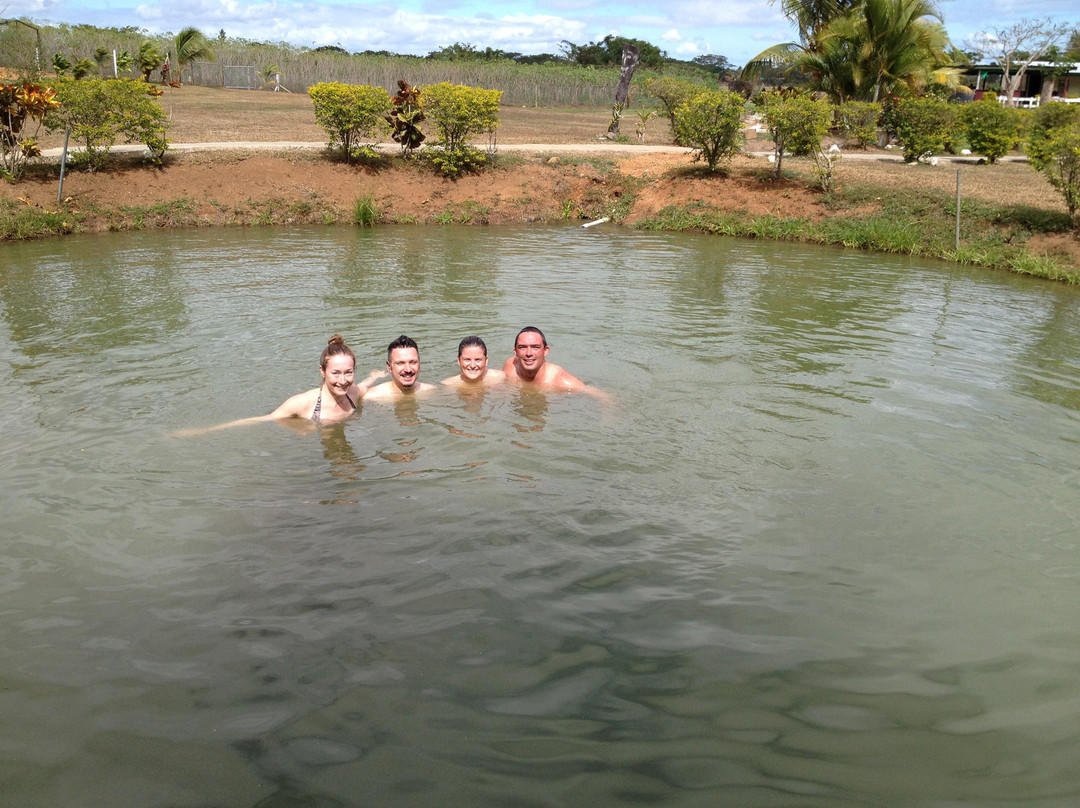 萨贝托泥浆温泉-纳迪市必去景点