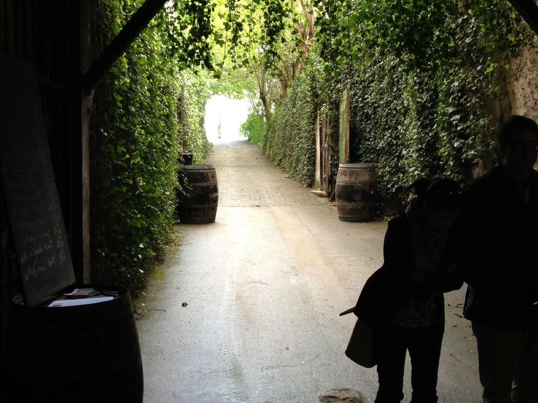 Domaine de la Chevalerie景点图片