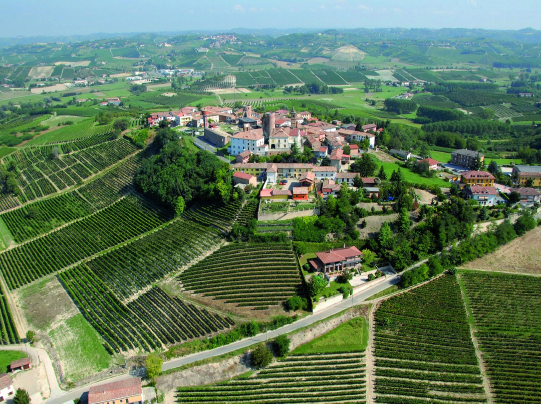 Il Calice Accompagnato - Vineria Agricola, Agriwinebar景点图片