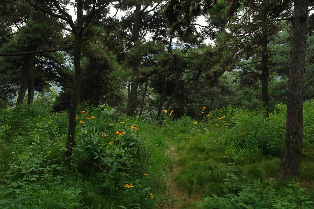 联峰山公园-秦皇岛市必去景点