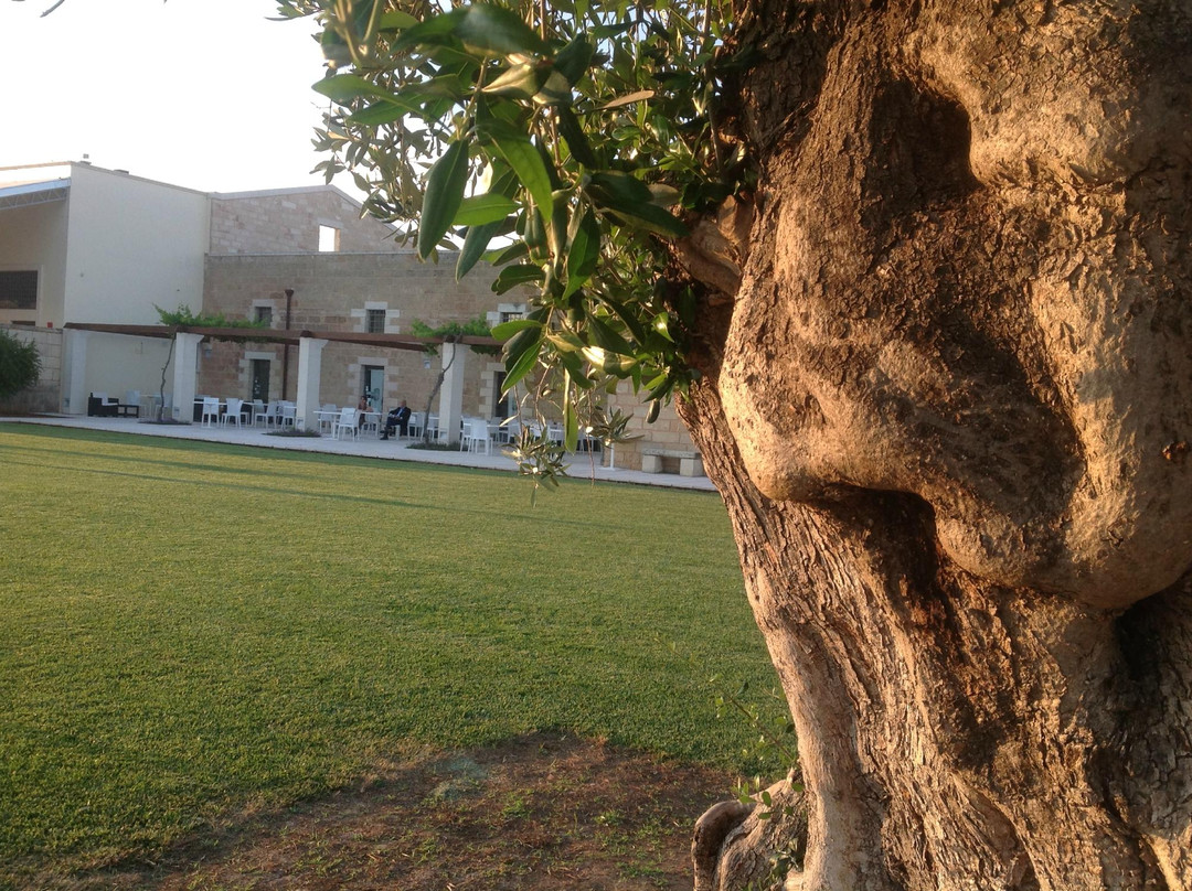 Galugnano餐馆和美食-Masseria Stali Ristorante