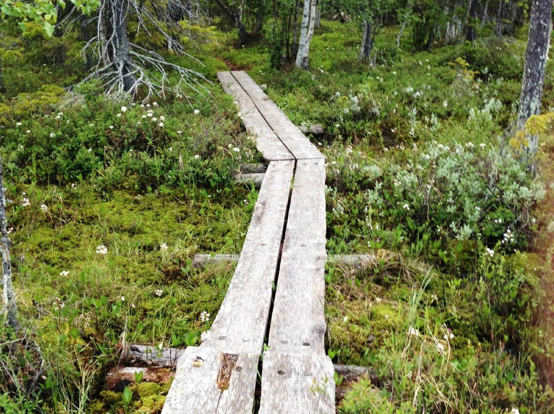 Viiankiaapa-Sodankyla必去景点