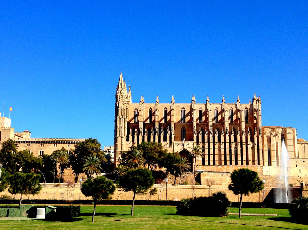 Mallorca Running Tours景点图片