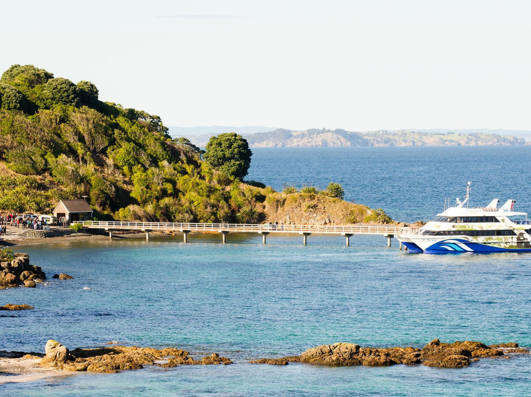 蒂利蒂利马唐伊岛-奥克兰中心地区必去景点