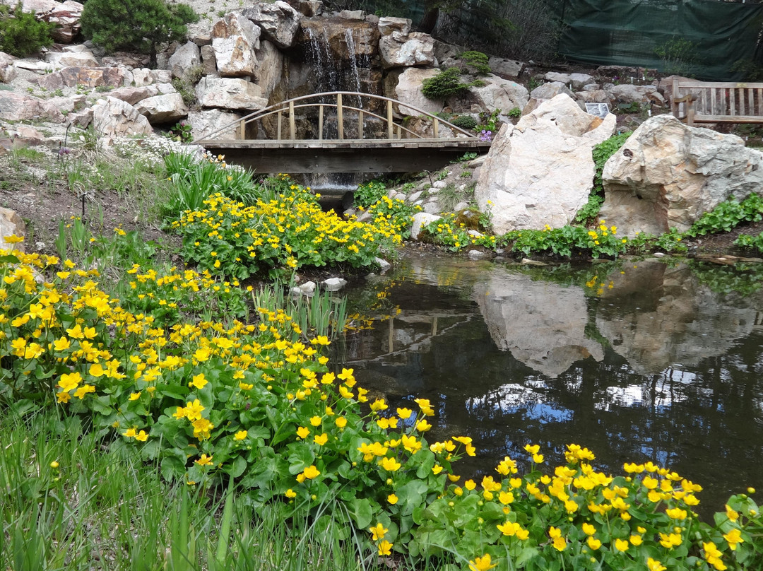 韦尔旅游攻略图片