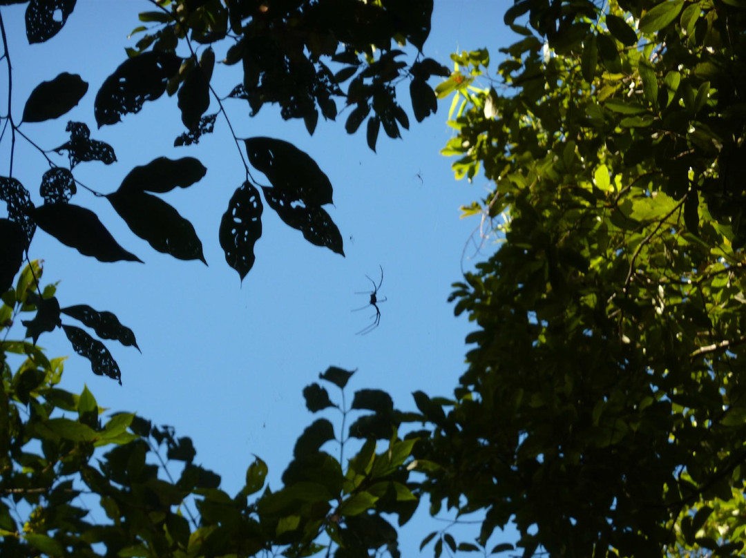 Ingan Tours- Day Tours-Tully必去景点