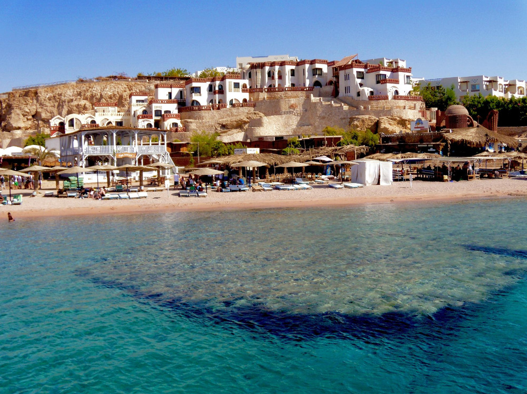 Shark's Bay Beach-沙姆沙伊赫必去景点