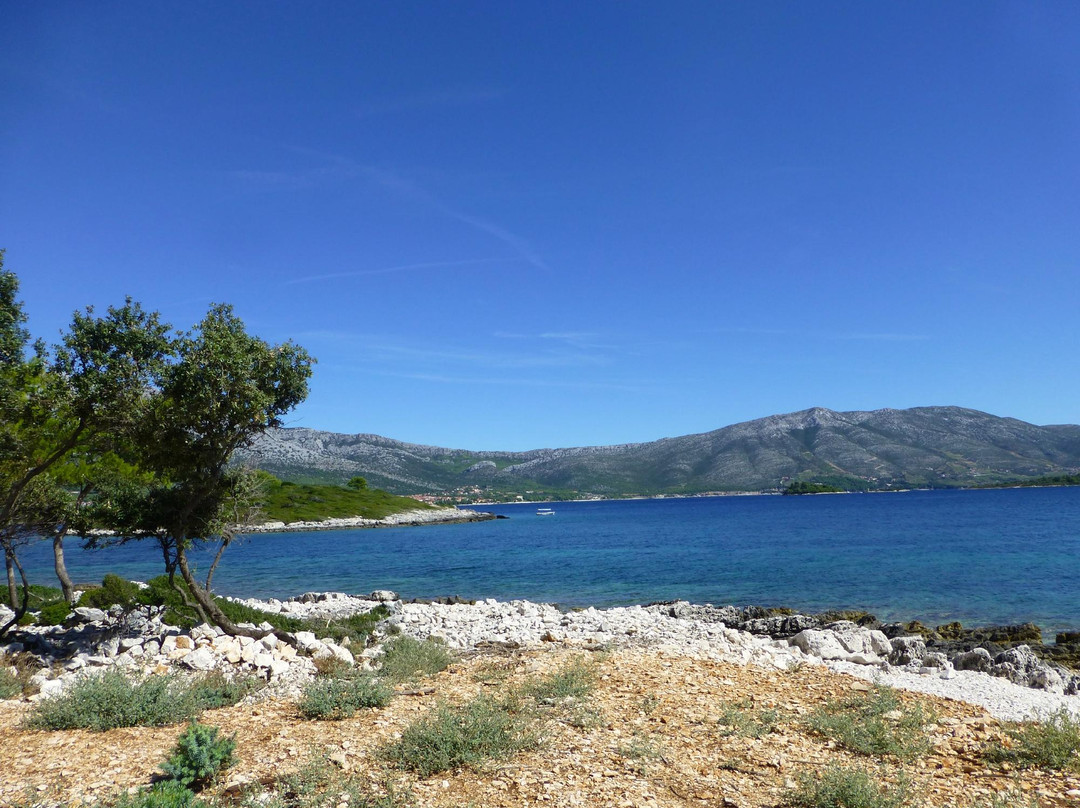 Otok Badija景点图片