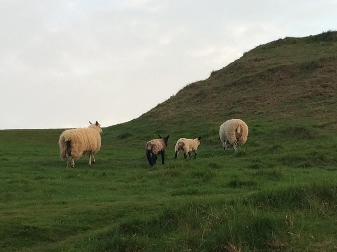 Cleeve Hill景点图片