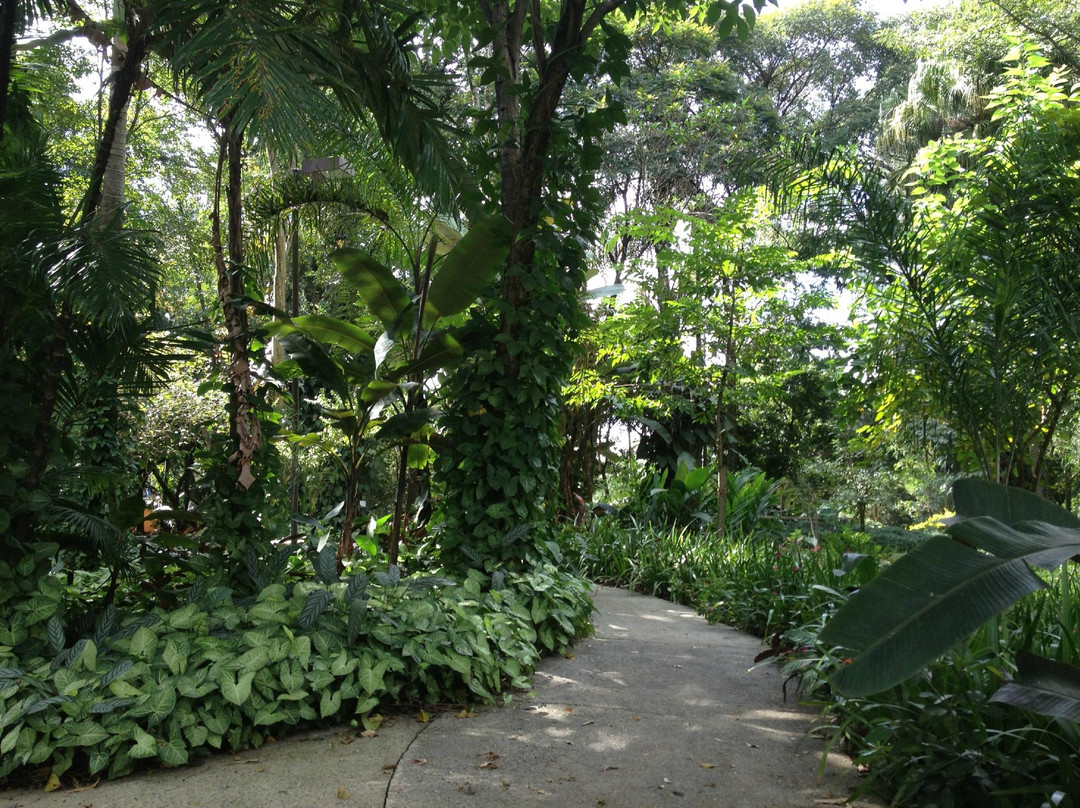 Parque Celso Daniel景点图片