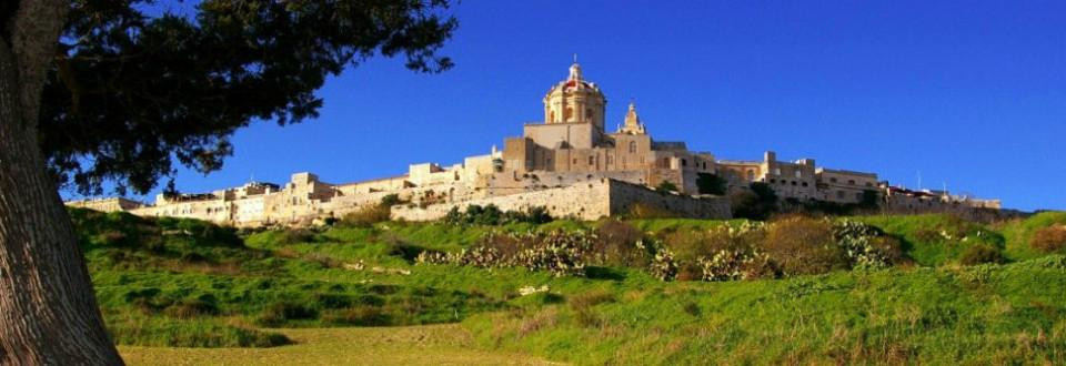 The Olivewood-Ta' Qali必去景点