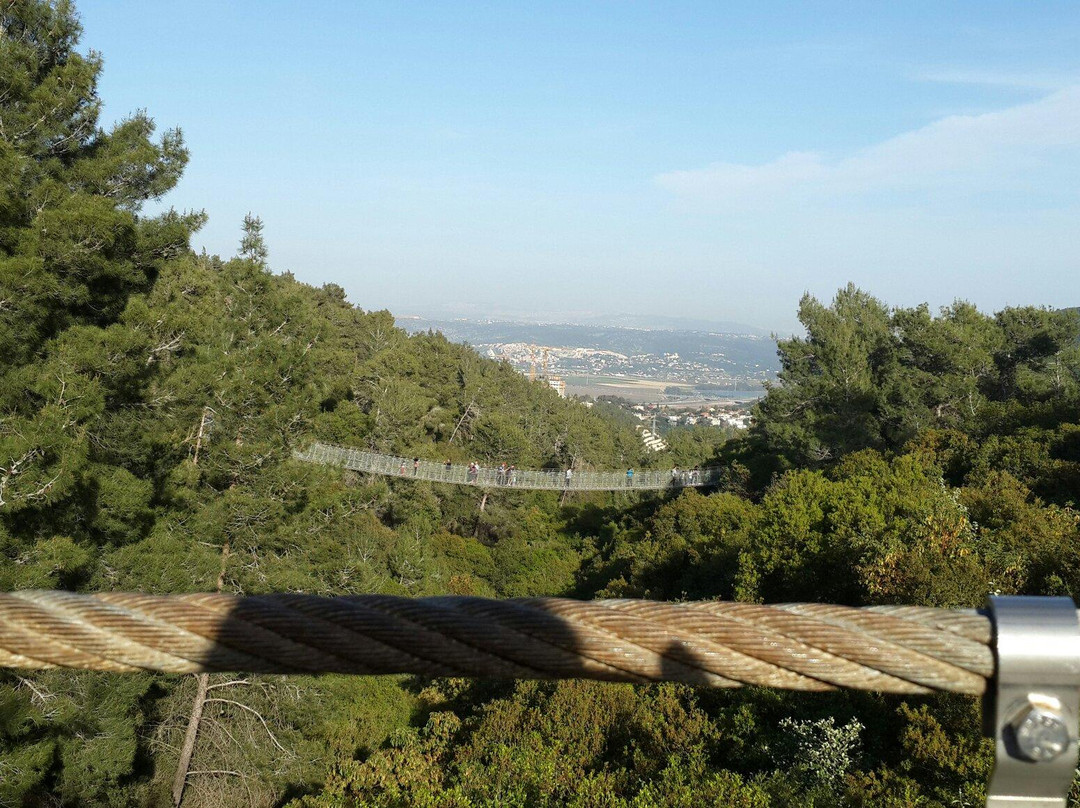 Hanging Bridge at Nesher Park-Haifa必去景点