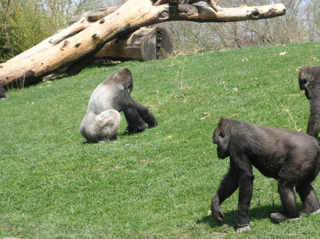 Pittsburgh Zoo & Aquarium景点图片