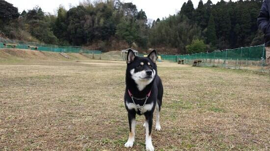 Suiran Green Park