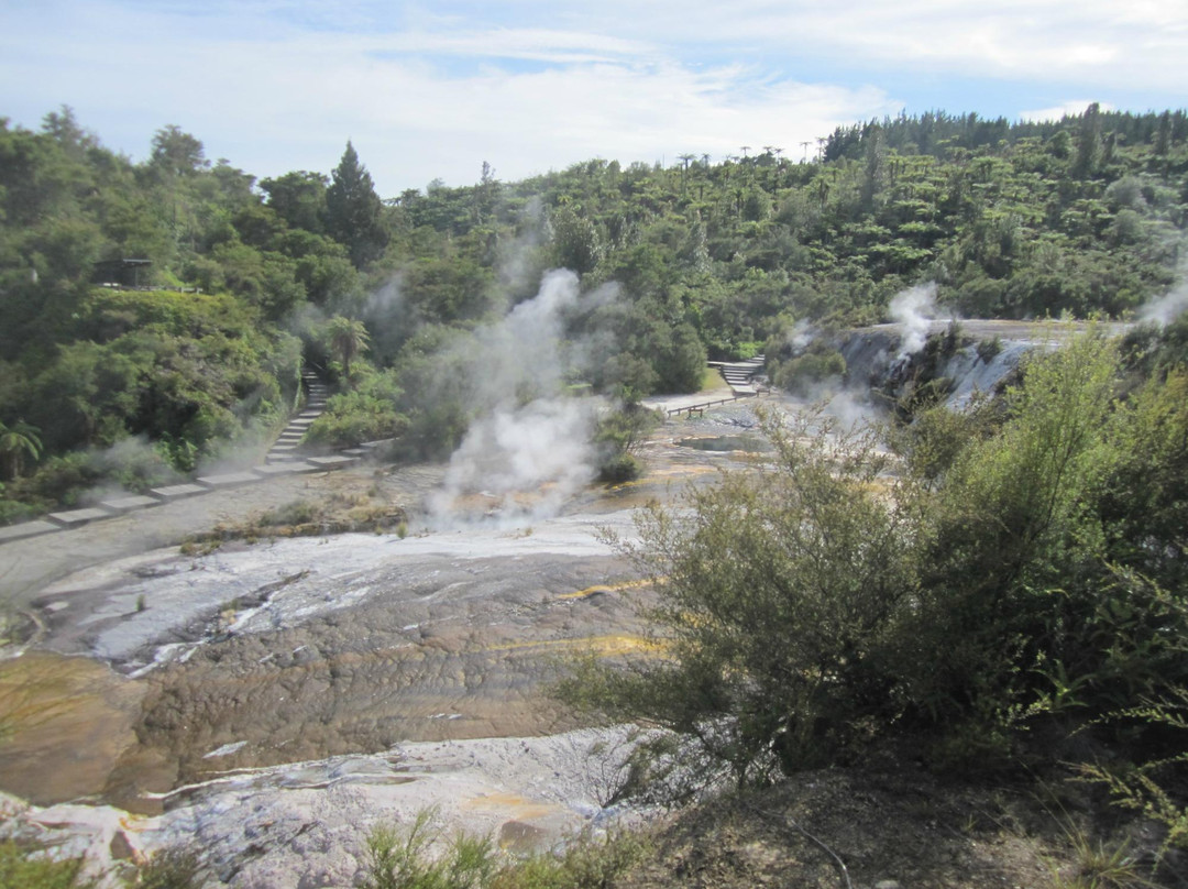 Orakei Korako Cave & Thermal Park-陶波区必去景点