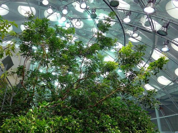 加州科学馆-旧金山必去景点